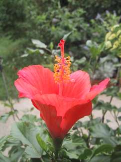 IMG_1978.JPG
